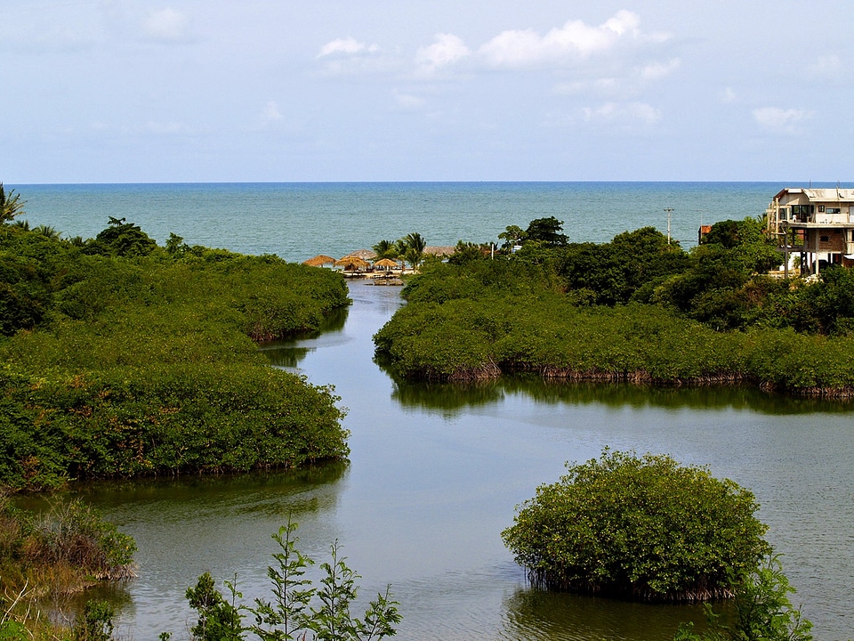 Ocean water shoreline