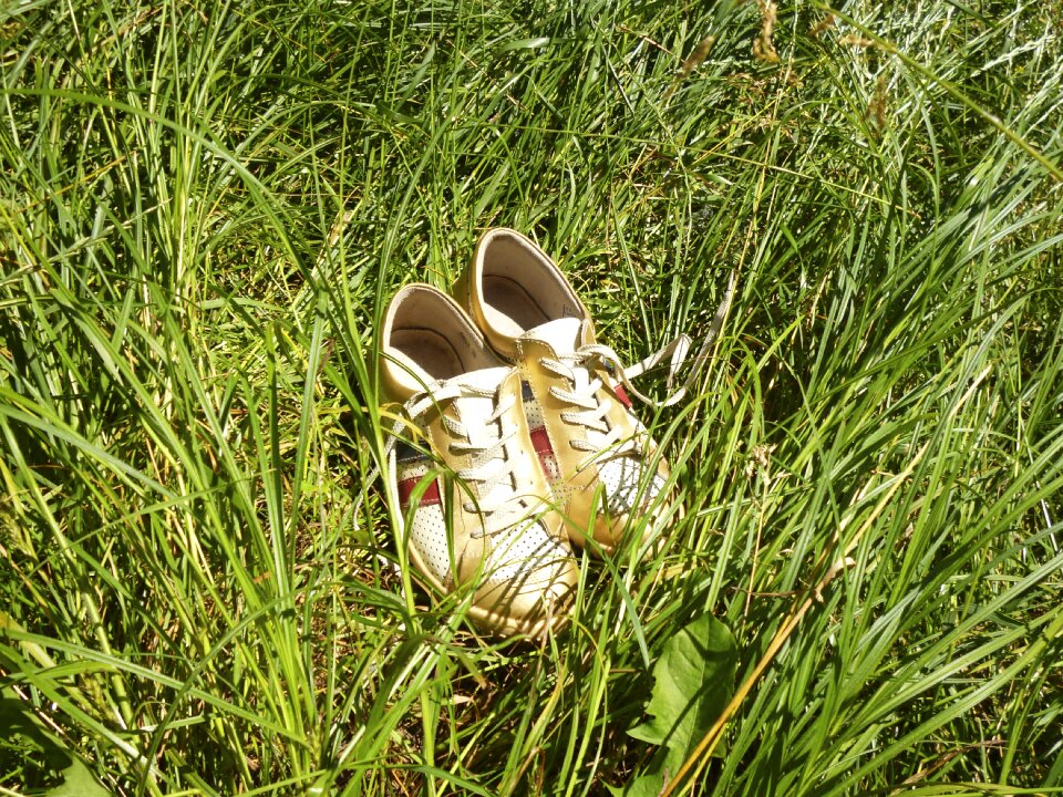 Gym shoes grass summer holiday