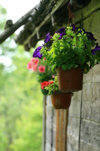 Hanging outdoors decoration