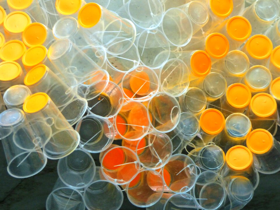 Plastic installation fine art