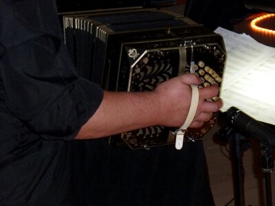 Tango argentino instrument musical instrument