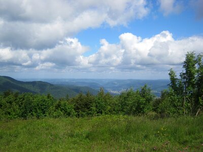Summer green wide