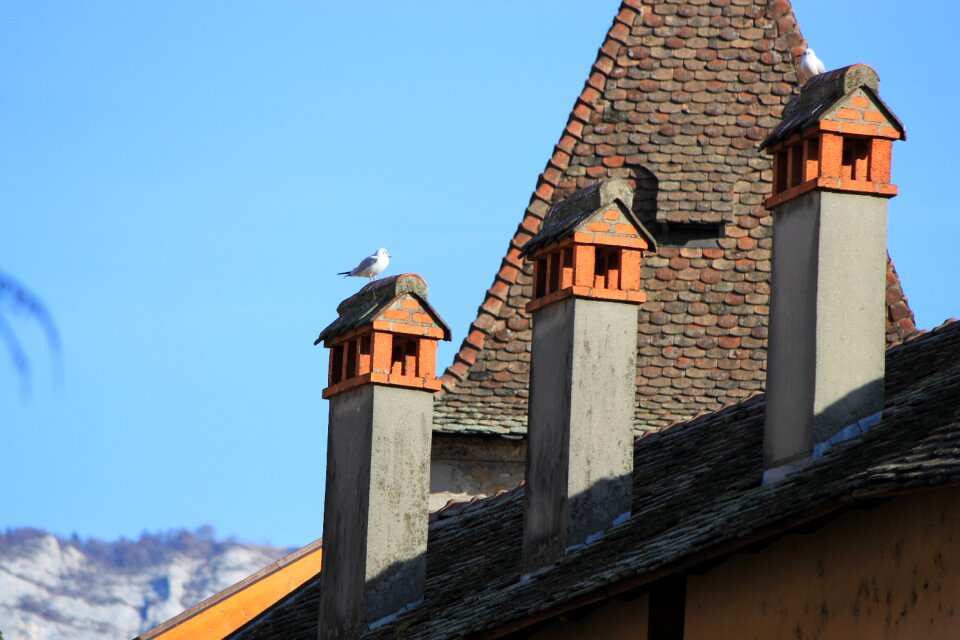 Ceiling seagull fireplace photo