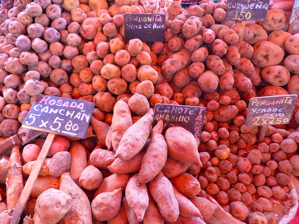 Vegetables market peru