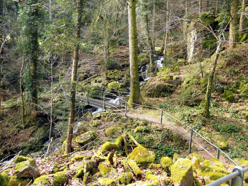 High rhine hiking trail