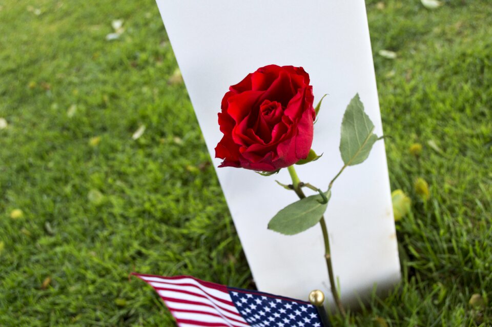 Falls american cemetery normandy
