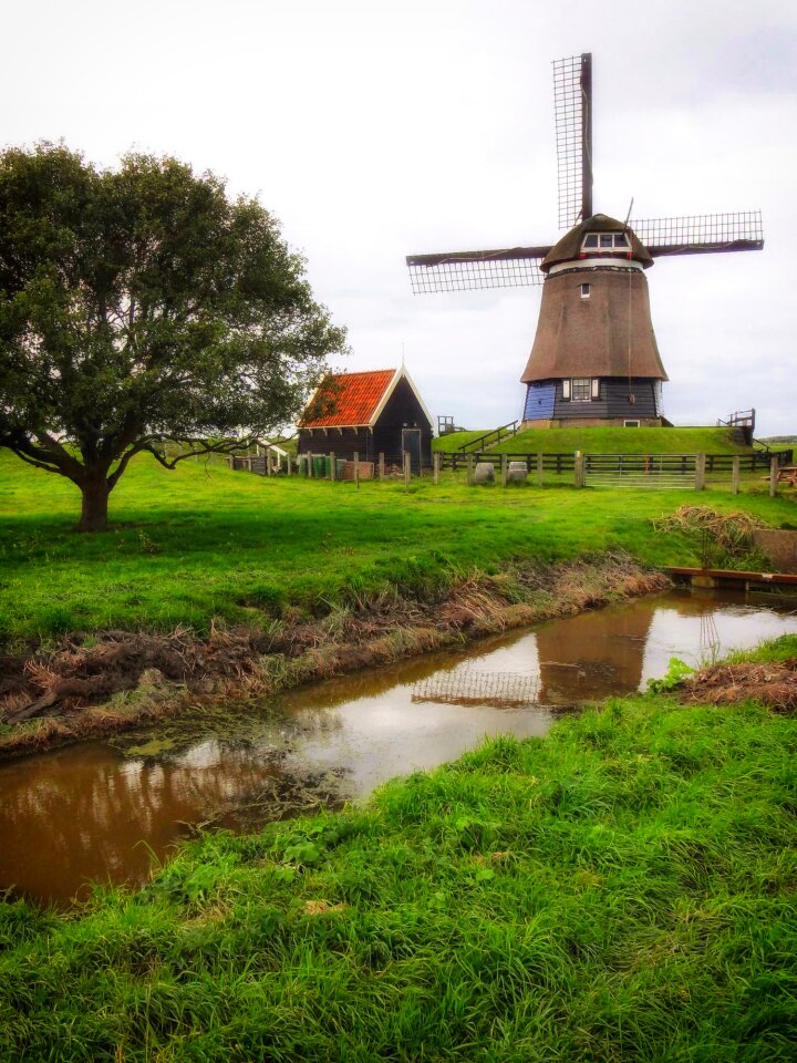 Stream trees grass