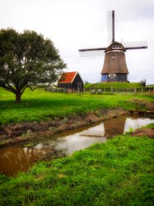Stream trees grass
