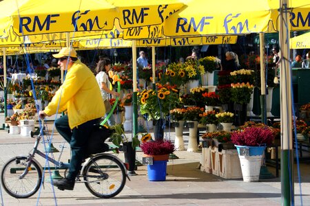 Krakow poland yellow awning