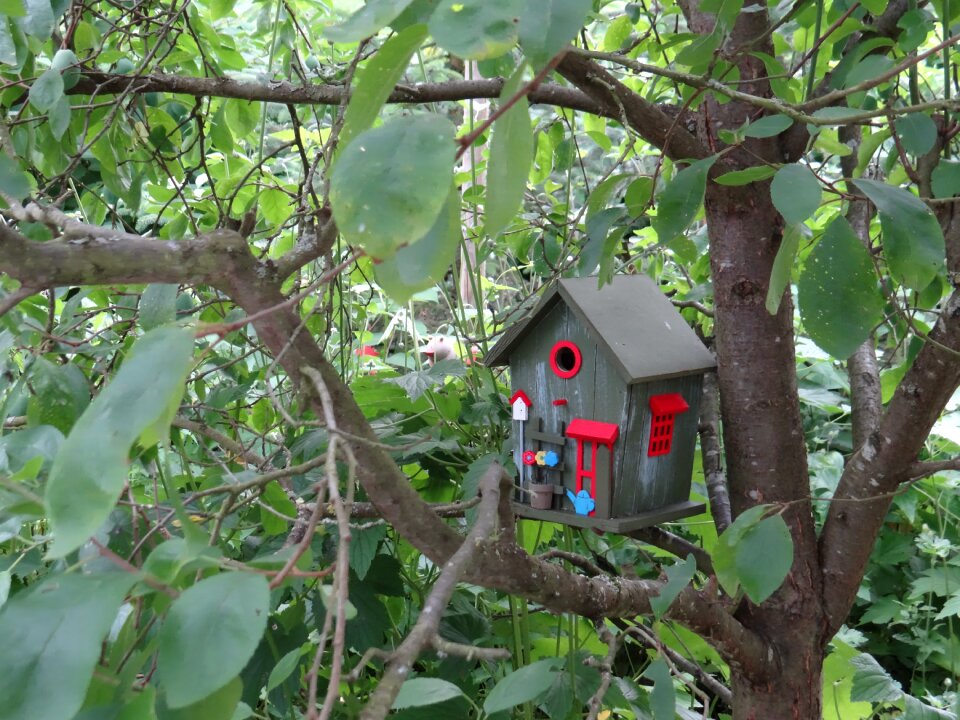 Bird shelter garden