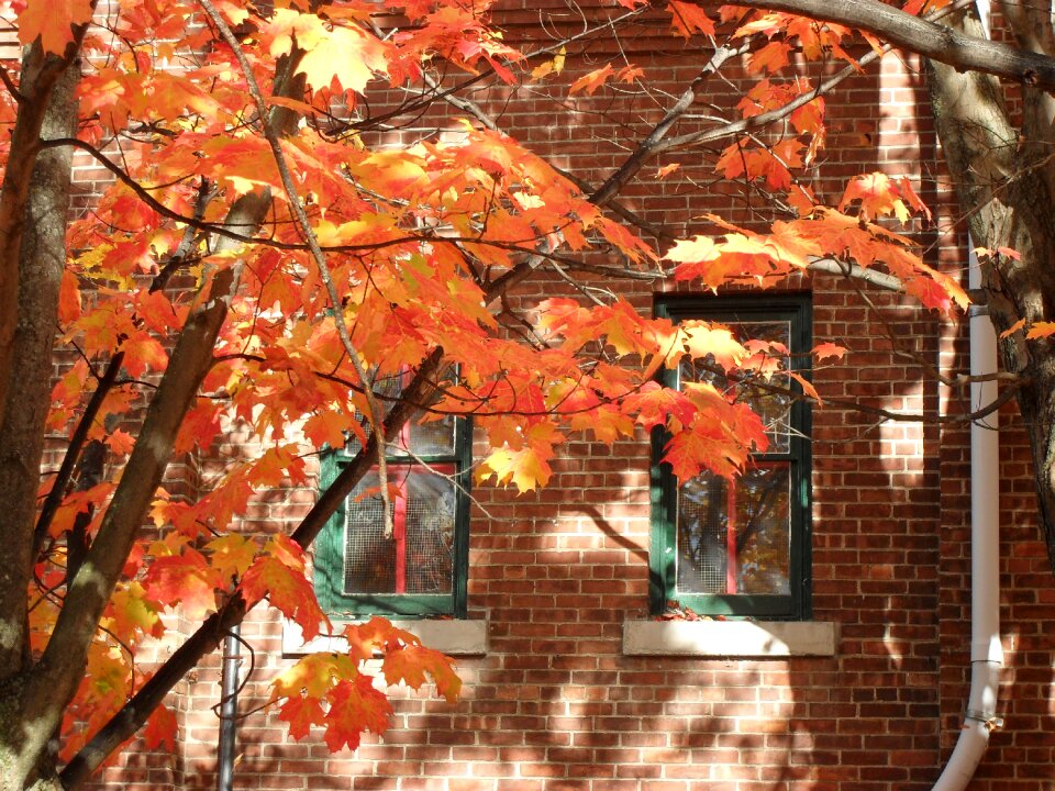 Brick red orange