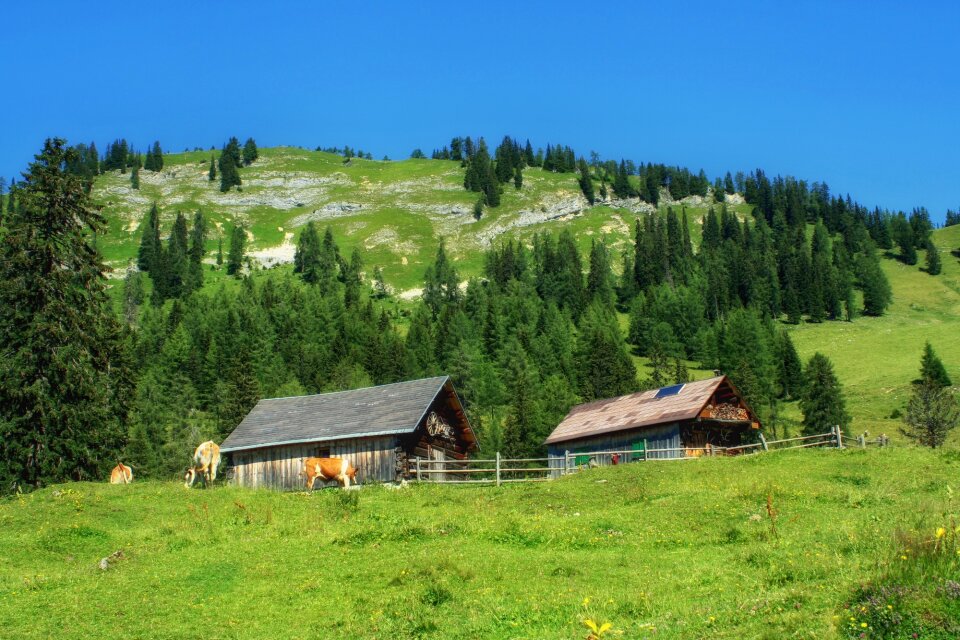 Scenic hill hillside