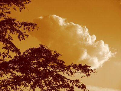 Clouds abendstimmung evening sky