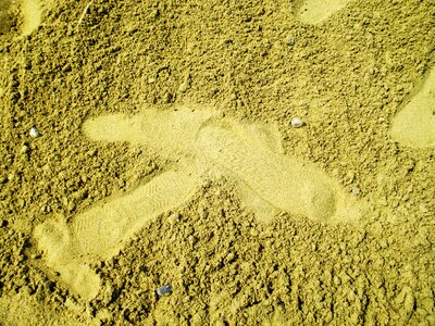 Footprint tracks in the sand sand beach