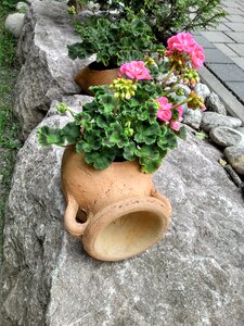 Plant krug ceramic