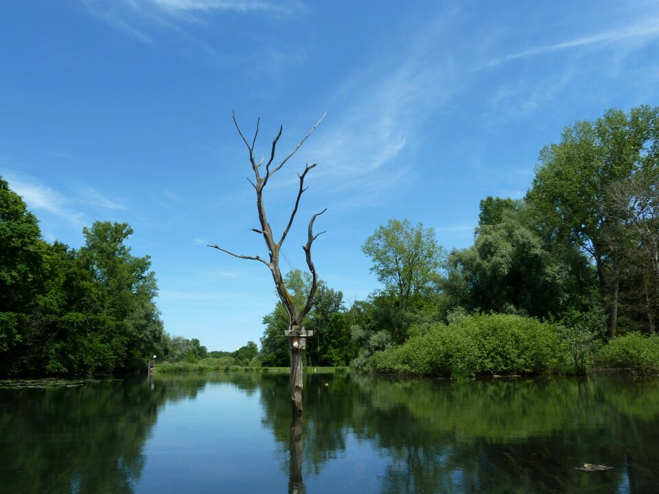 Old rhine deaf pour water