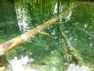 Scene lake transparent