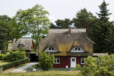 Reed house northern germany photo