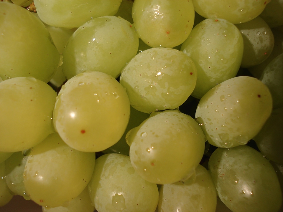 Fruit green healthy