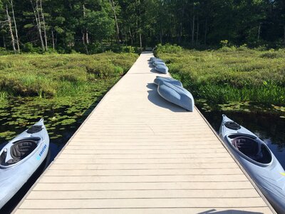 Lake summer outdoor photo