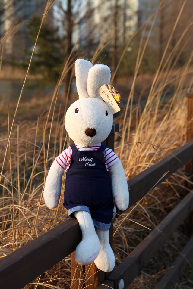 Mont schlemmer doll doll republic of korea