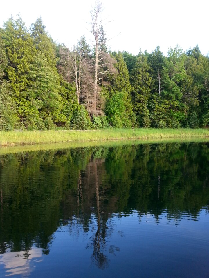 Landscape nature scenic