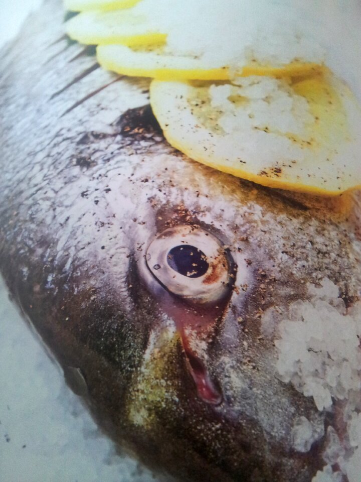 Tasty grilled grunge