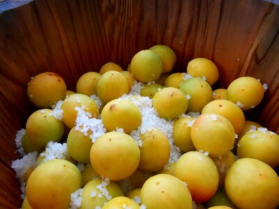 Japanese food traditional foods homemade