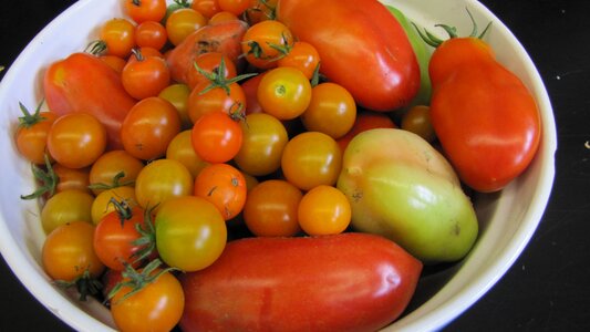 Fresh organic vegetarian