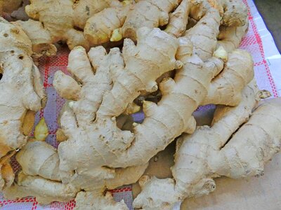 Spice aroma tuber