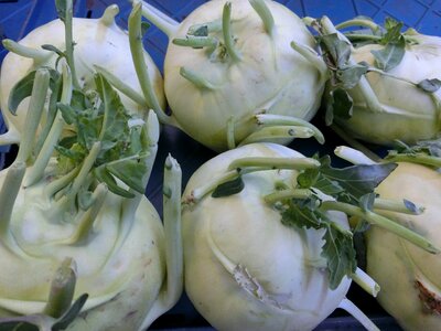Vegetables healthy tuber