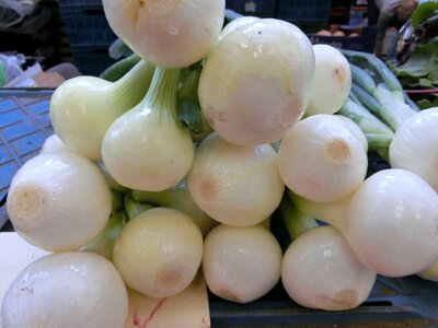 Vegetables healthy market
