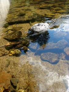 Sun reflection weir photo