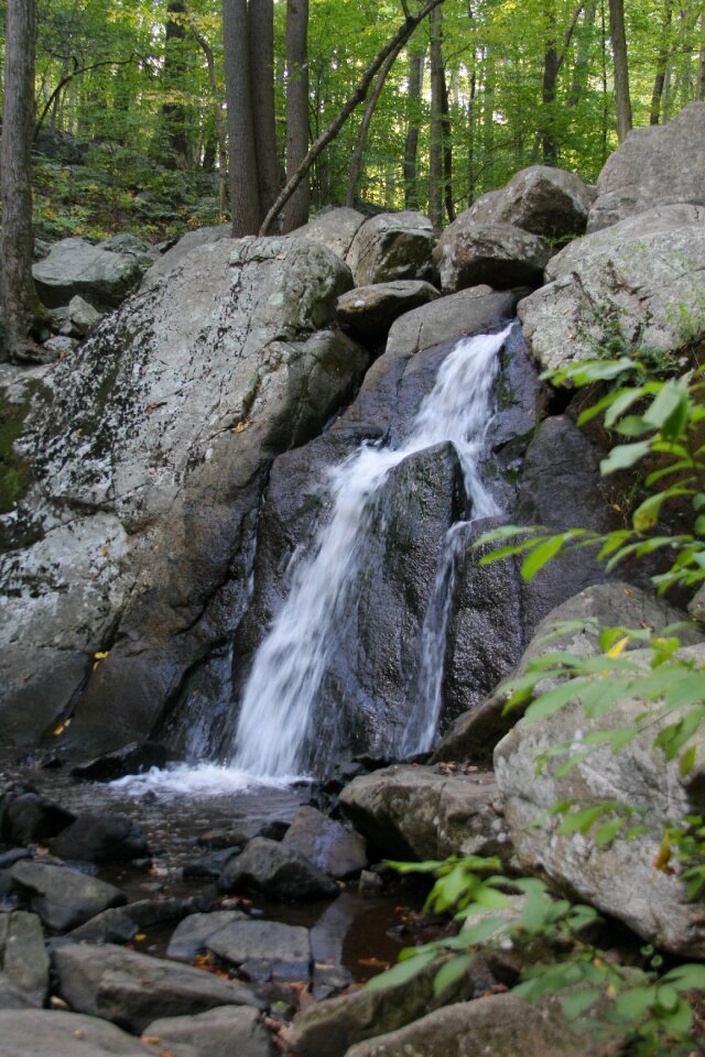 Water fresh environment