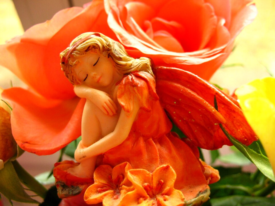 Dream fantasy flower