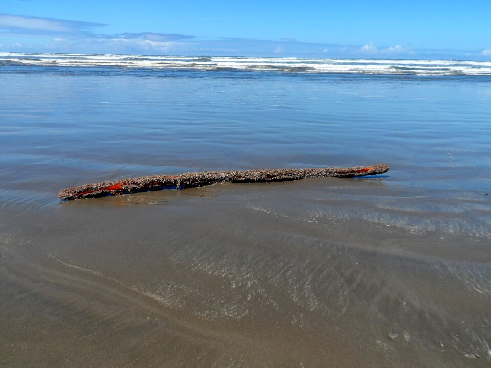 Nature outdoors shore