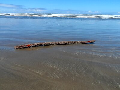 Nature outdoors shore