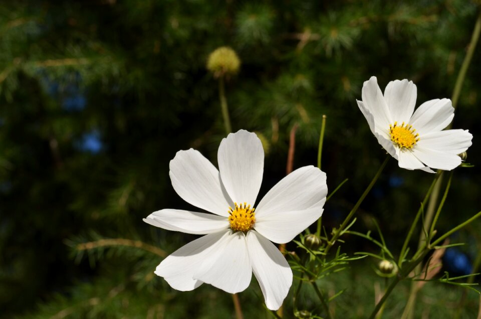 Nature beautiful