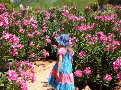 Run oleander mediterranean