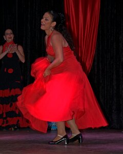 Shoes dance high heeled shoes