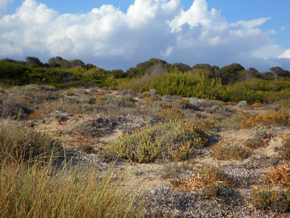 Mediterranean sand sandy photo