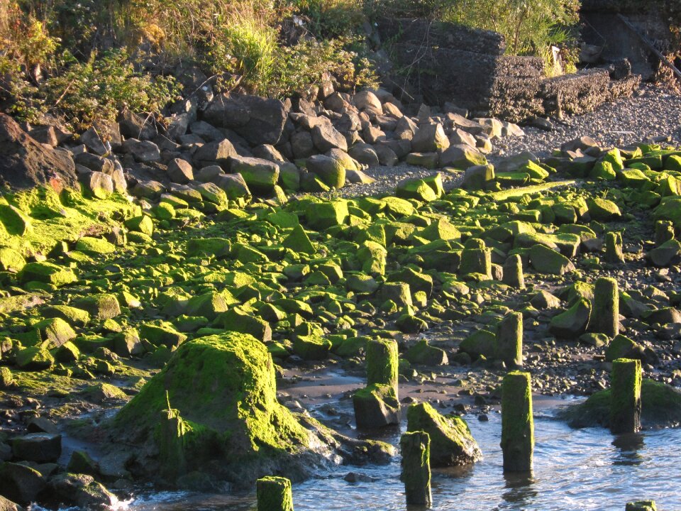 Nature landscape stone