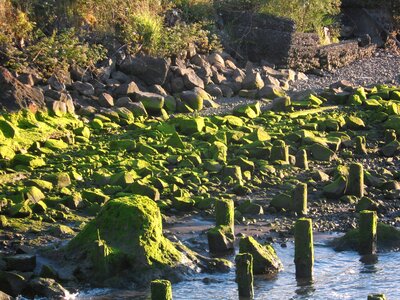 Nature landscape stone photo