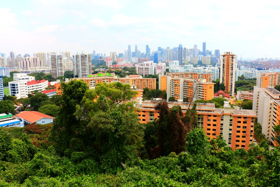 Skyscrapers southern ridges