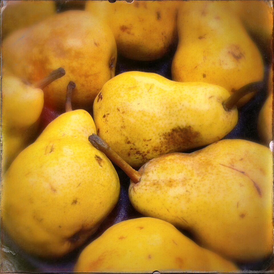 Pears fruit yellow