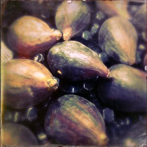 Figs fruit fig