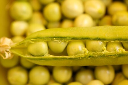 Pod green vegetables