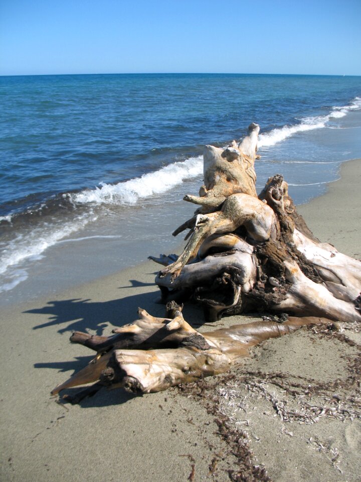 Corsica sea beach