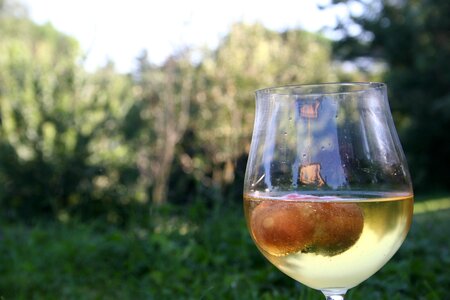 Cocktail peach garden