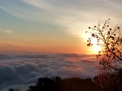 Africa sea of fog mood photo